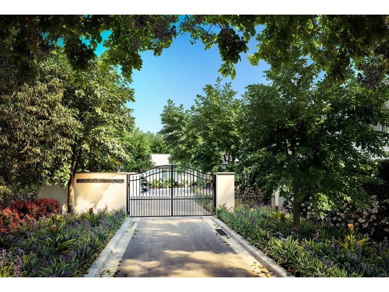 47-51 Killeaton Street, St Ives NSW 2075