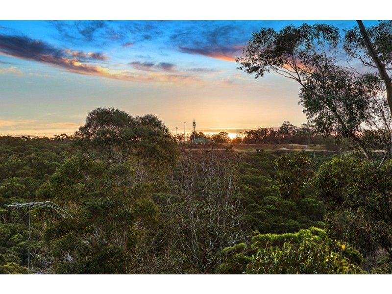 16 Robina Street, St Ives NSW 2075