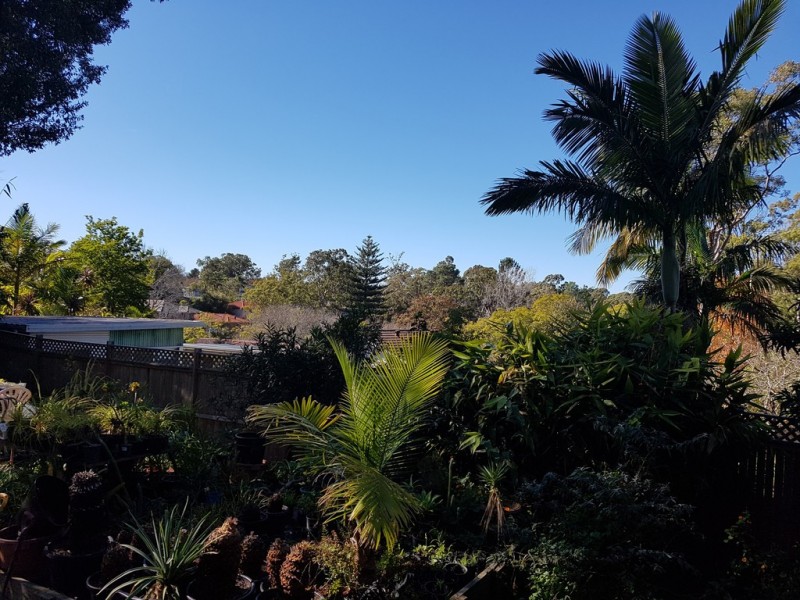 3 Carcoola Rd, St Ives NSW 2075