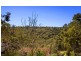 24 PARNELL STREET, East Killara NSW 2071