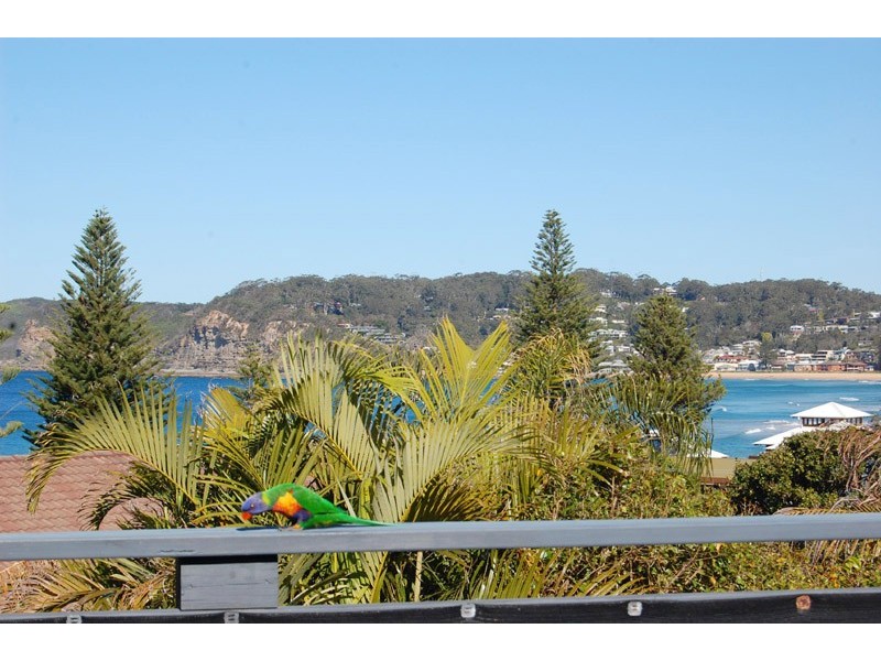 57 North Avoca Drive, North Avoca NSW 2260