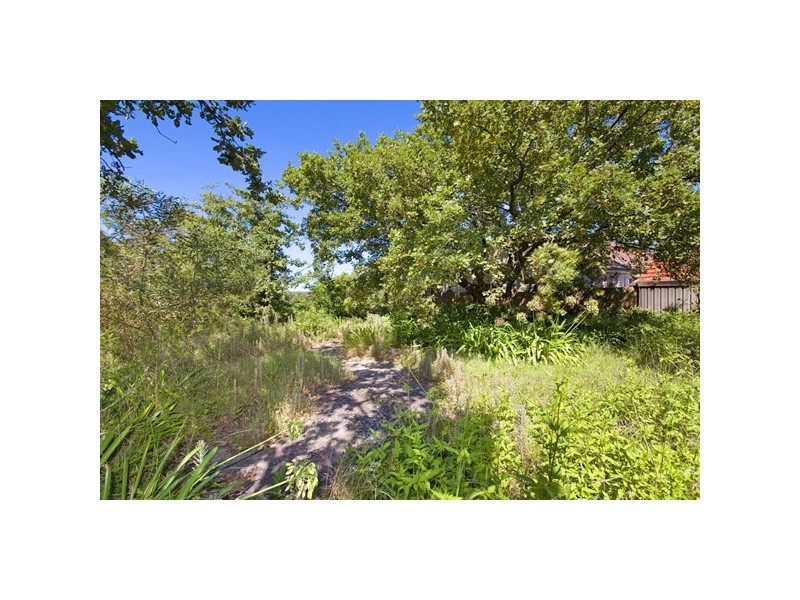 93 ABINGDON ROAD, Roseville NSW 2069