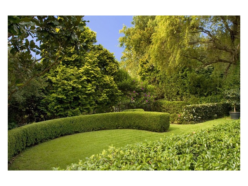 419 MONA VALE ROAD, St Ives NSW 2075