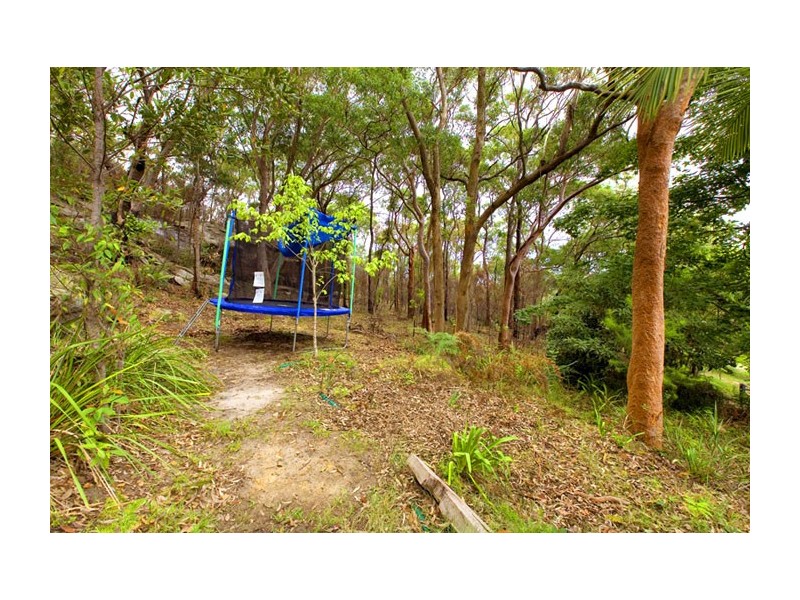 24 GREVILLEA AVENUE, St Ives NSW 2075