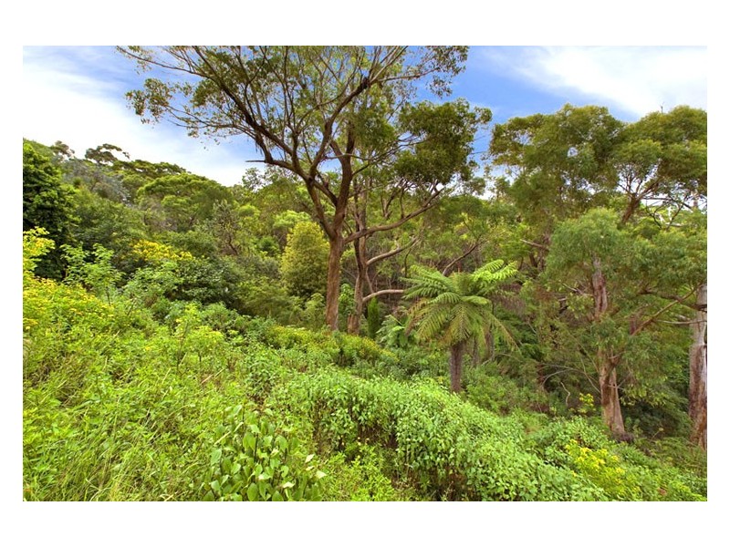 7 RICHMOND AVENUE, St Ives NSW 2075