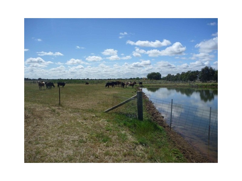 LOT 124 OLD SHOWGROUND ROAD, Jerilderie NSW 2716