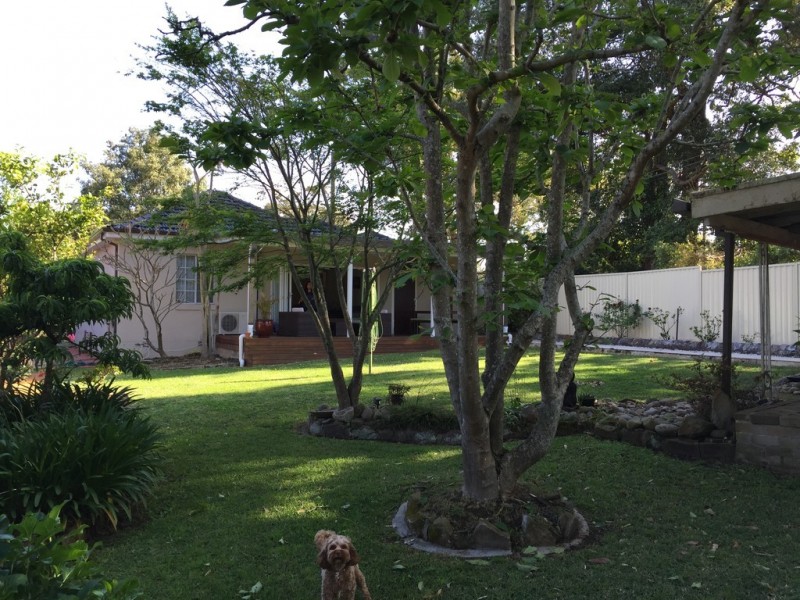 36 Spurwood Road, Turramurra NSW 2074