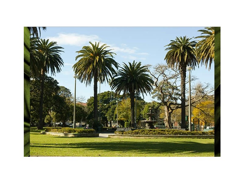 249 Chalmers Street, Redfern NSW 2016