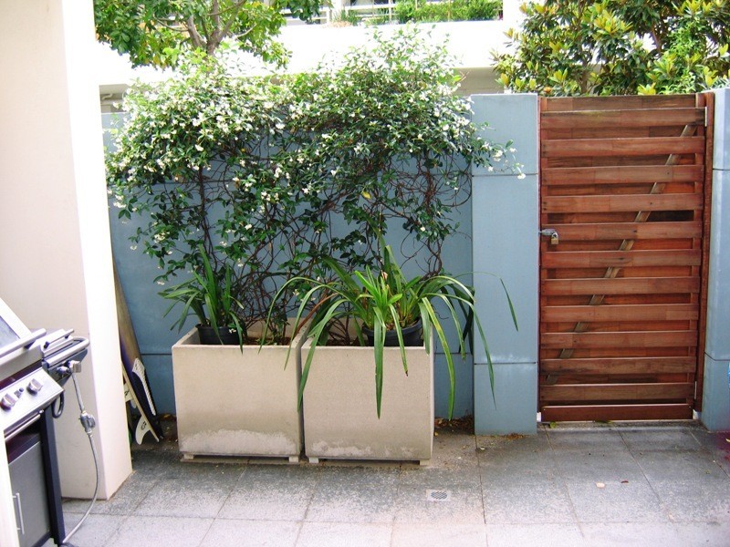 25 Birmingham Street, Alexandria NSW 2015