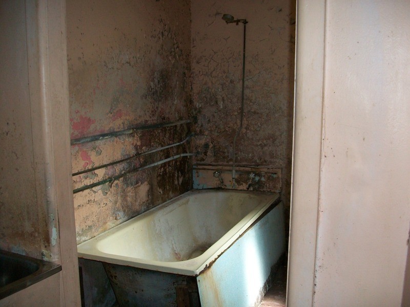 104  Morehead Street, Waterloo NSW 2017