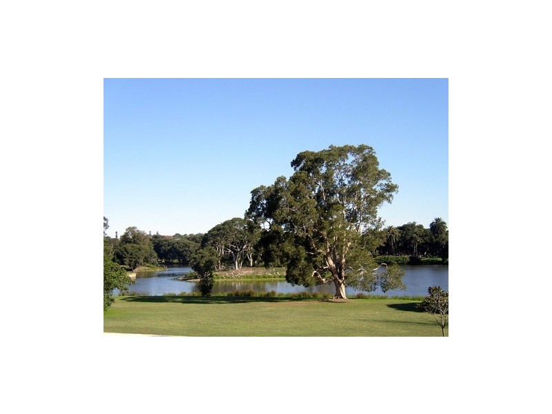 15 Doncaster Avenue, Kensington NSW 2033