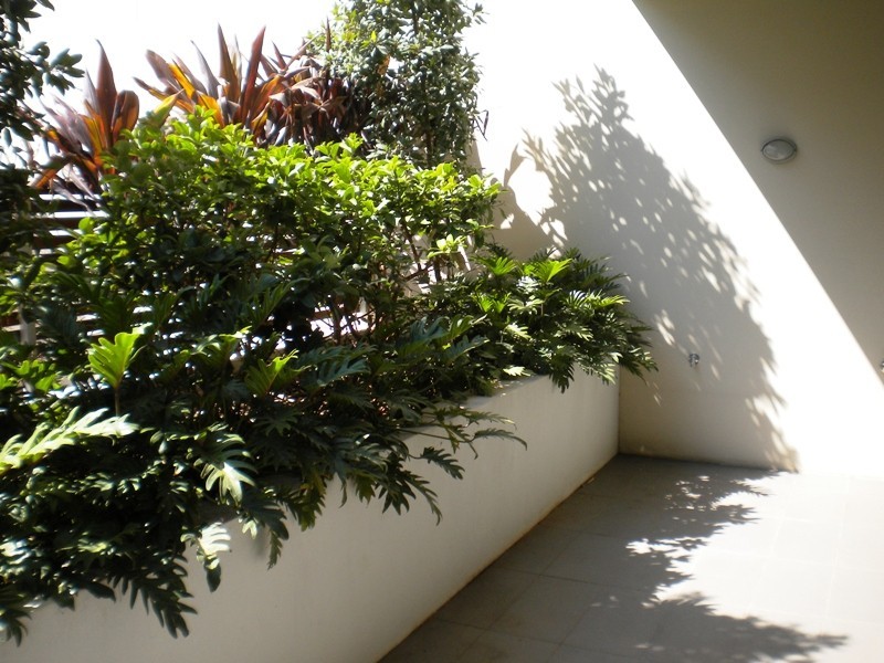 565 Botany Road, Alexandria NSW 2015