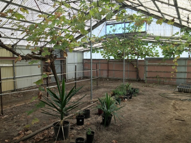 400 Caoura Road, Tallong NSW 2579