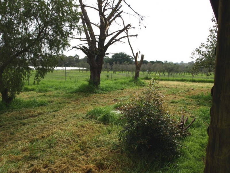 260-270 Arina Road, Bargo NSW 2574