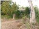 10 Bronzwing Street, Tahmoor NSW 2573