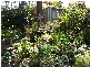 Tahmoor NSW 2573