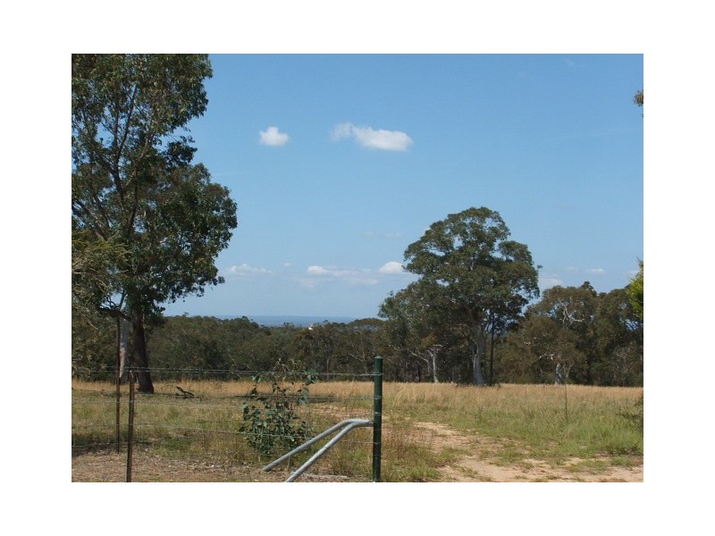 115 Hassall Road, Buxton NSW 2571