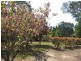115 Hassall Road, Buxton NSW 2571