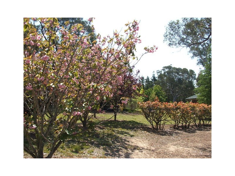 115 Hassall Road, Buxton NSW 2571