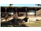 5 Samuel Street, Hill Top NSW 2575