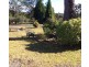 Thirlmere NSW 2572