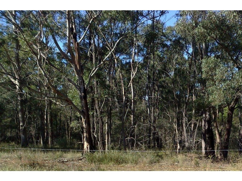 110 Charles Road, Pheasants Nest NSW 2574
