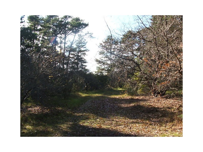 45 Great Southern Road, Bargo NSW 2574