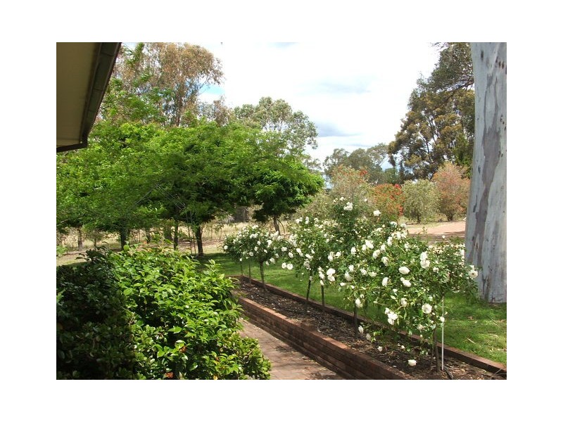115 Hassall Road, Buxton NSW 2571