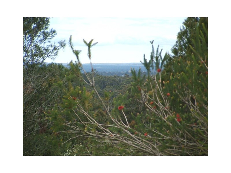 115 Hassall Road, Buxton NSW 2571
