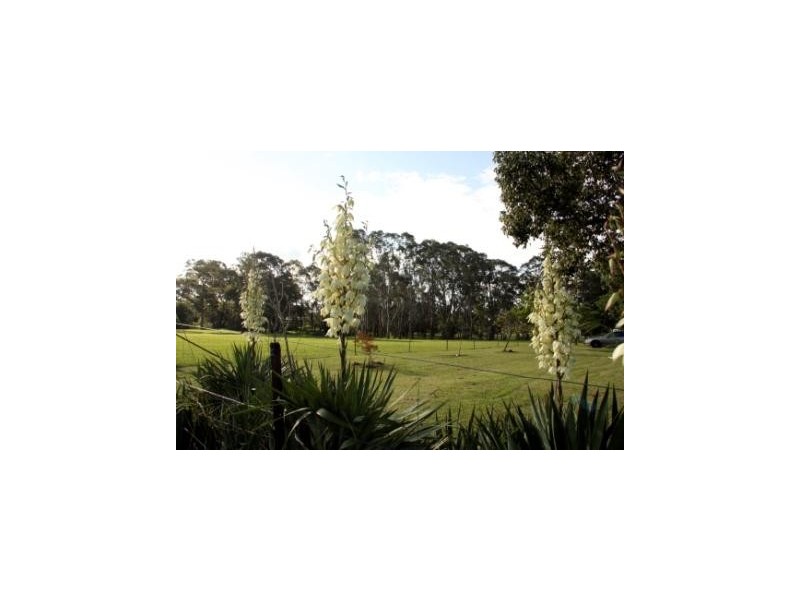 75 Bargo Road, Bargo NSW 2574