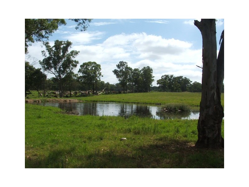 29 Great Southern Road, Bargo NSW 2574