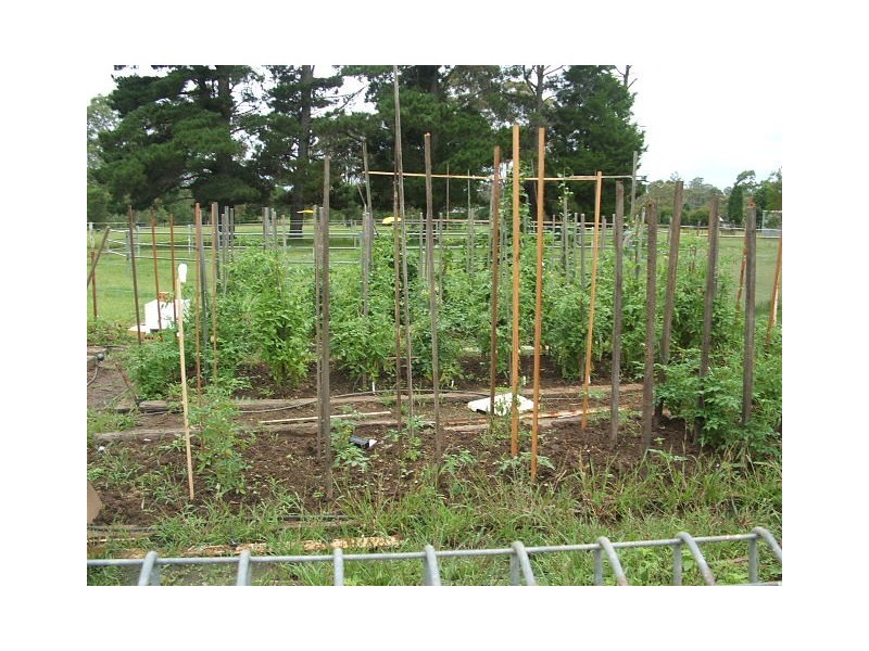 33 Wattle Street, Bargo NSW 2574