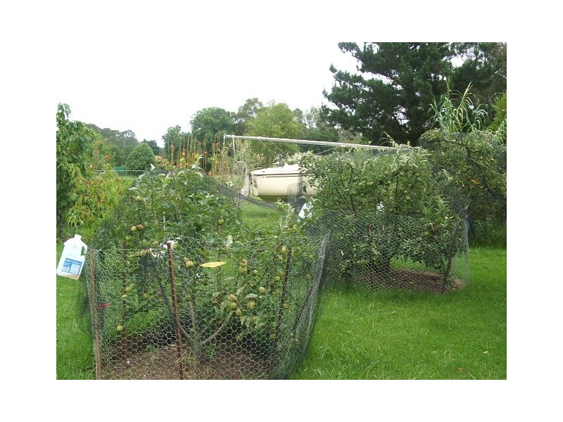 33 Wattle Street, Bargo NSW 2574