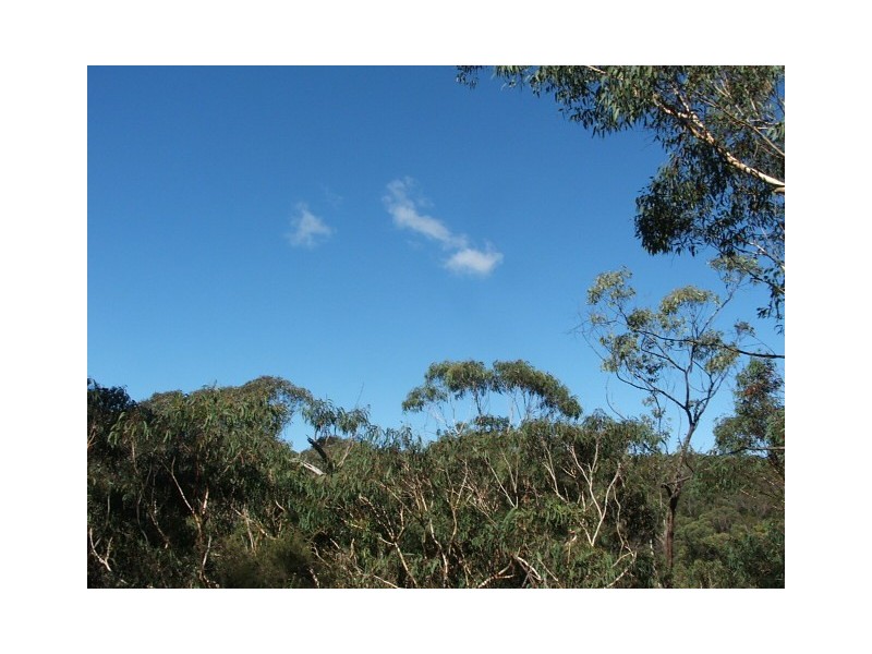 6652 Boundary Road, Buxton NSW 2571
