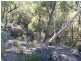 6652 Boundary Road, Buxton NSW 2571