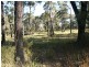 Lot 302 Kelsalls Road, Lakesland NSW 2572
