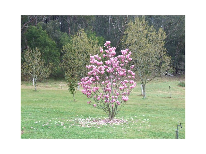 128 Bonds Road, Thirlmere NSW 2572