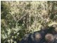 6652 Boundary Road, Buxton NSW 2571