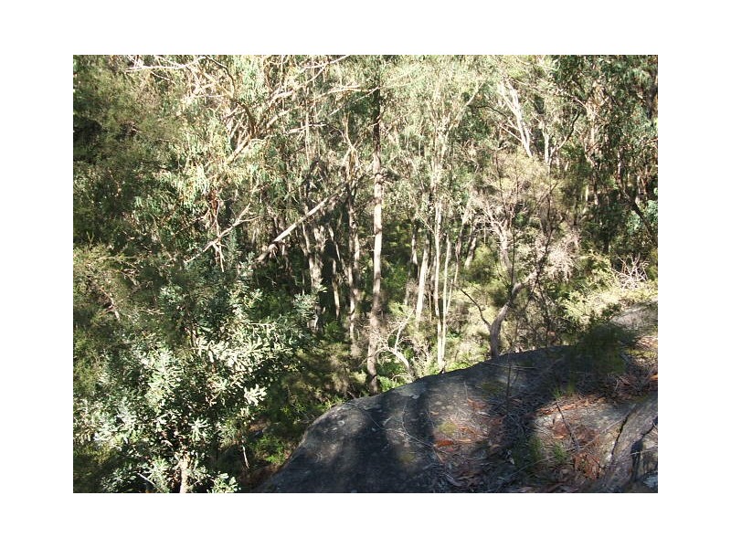 6652 Boundary Road, Buxton NSW 2571