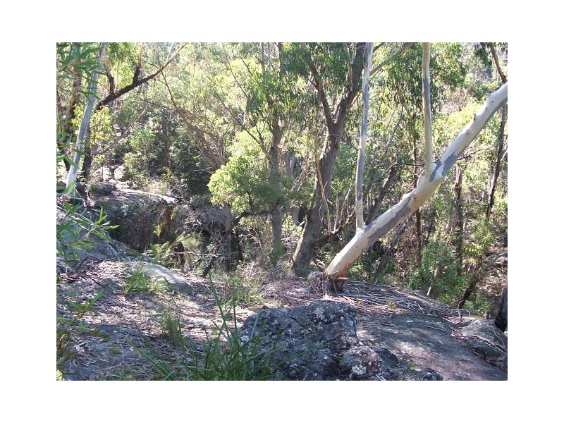 6652 Boundary Road, Buxton NSW 2571