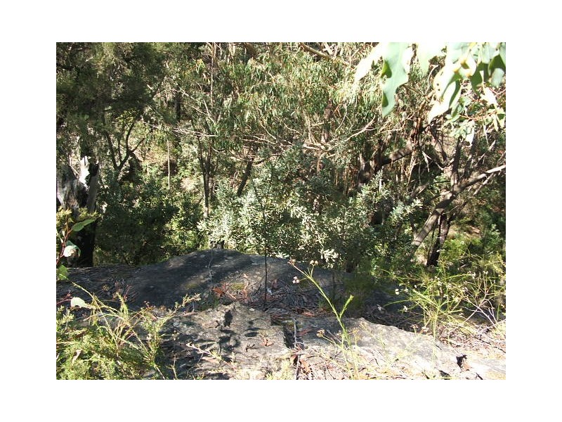 6652 Boundary Road, Buxton NSW 2571