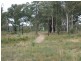 390 Pheasants Nest Road, Pheasants Nest NSW 2574