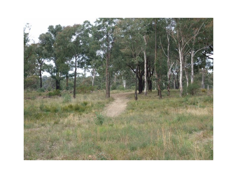 390 Pheasants Nest Road, Pheasants Nest NSW 2574