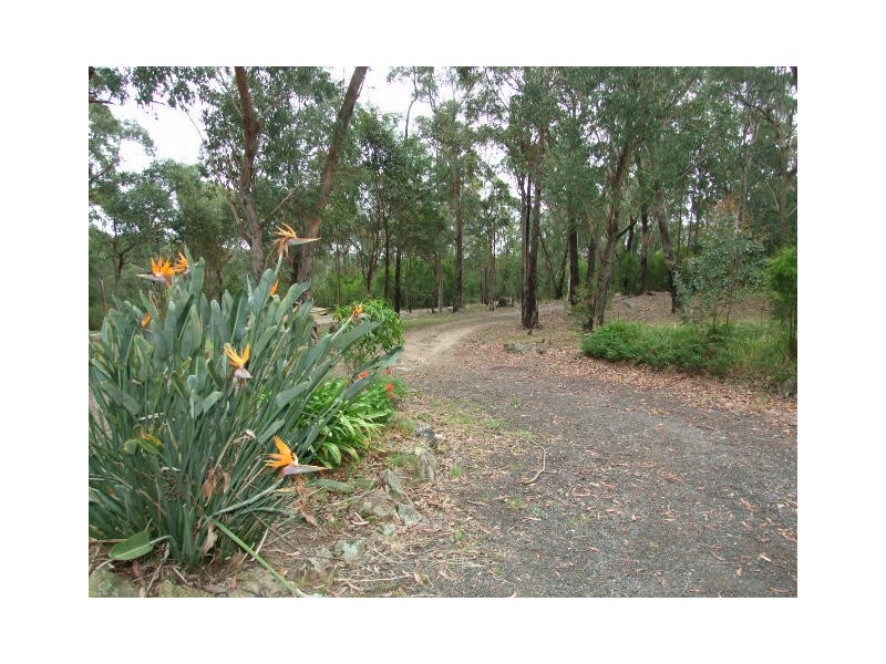 1185 Burragorang Road, Belimbla Park NSW 2570
