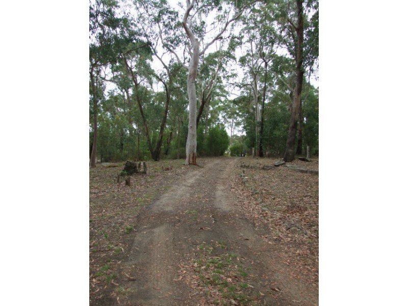 1185 Burragorang Road, Belimbla Park NSW 2570