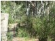 6652 Boundary Road, Buxton NSW 2571