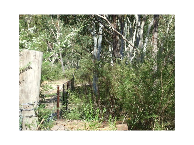 6652 Boundary Road, Buxton NSW 2571