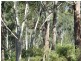 6652 Boundary Road, Buxton NSW 2571