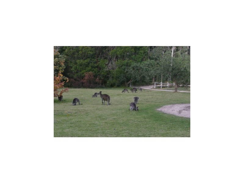 128 Bonds Road, Thirlmere NSW 2572