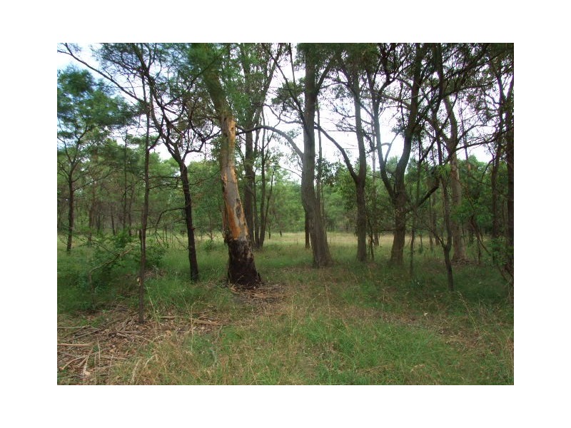 3646 Remembrance Drive, Bargo NSW 2574